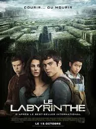Le Labyrinthe (2014)